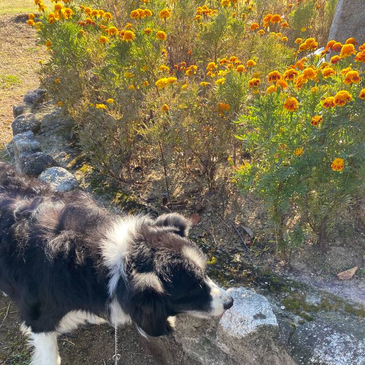 78594454 7ad7 449a bf2b 3b3bf5ced276 1635208753364