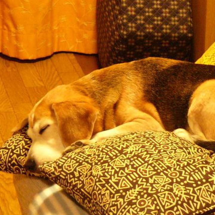 78594b84 c84b 49fb 9d75 e6dad7179d6a 1661734668693