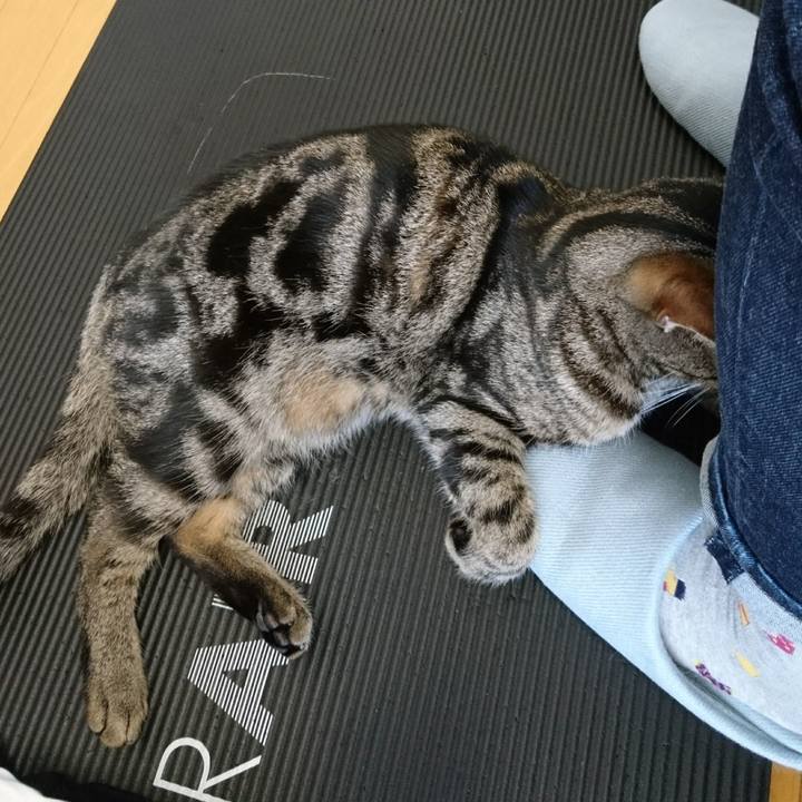 78597bc1 72ec 425c 9b74 04dd28b5b7e7 1520826903473