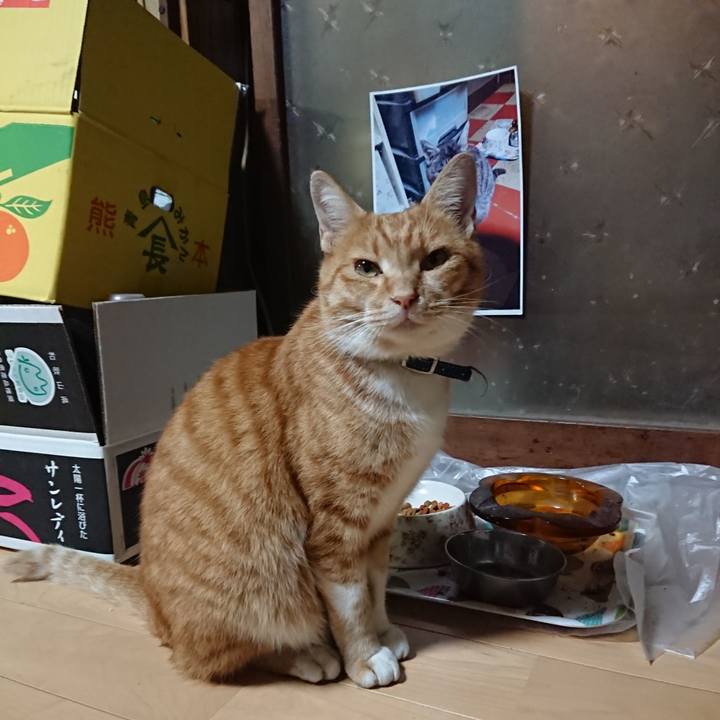 78598b0b ffef 4f6b 8258 f7bef0cfc21e 1601974451004