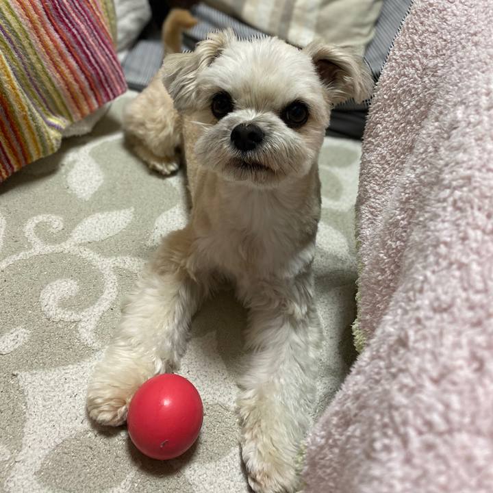 78599333 3664 4dc7 99e3 fc7150261d69 1584178673191