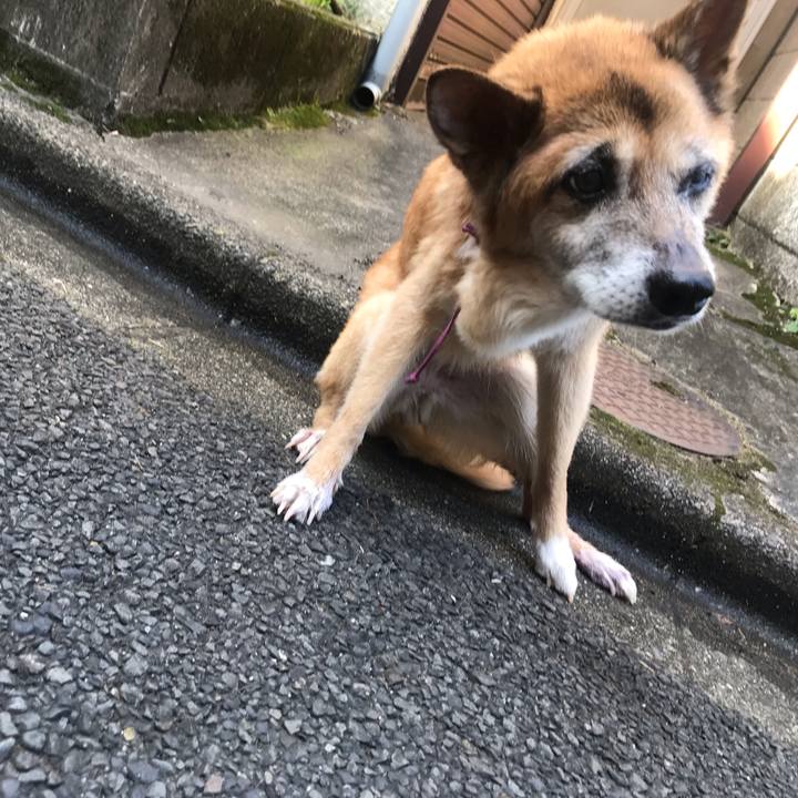 78599891 43d6 4b82 8900 830541dd1b00 1564787486230