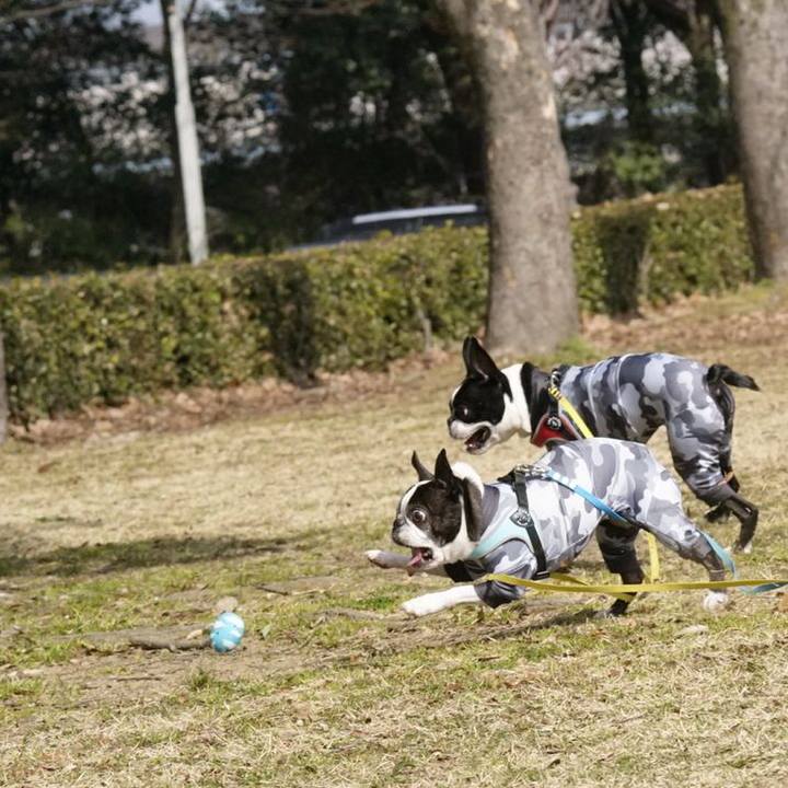 785998ad 6433 4dc1 87d0 7056b6cfc534 1520135691452