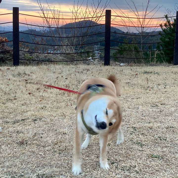 7859e29f c4dd 4e50 ac98 dd79404a0e45 1678054668050