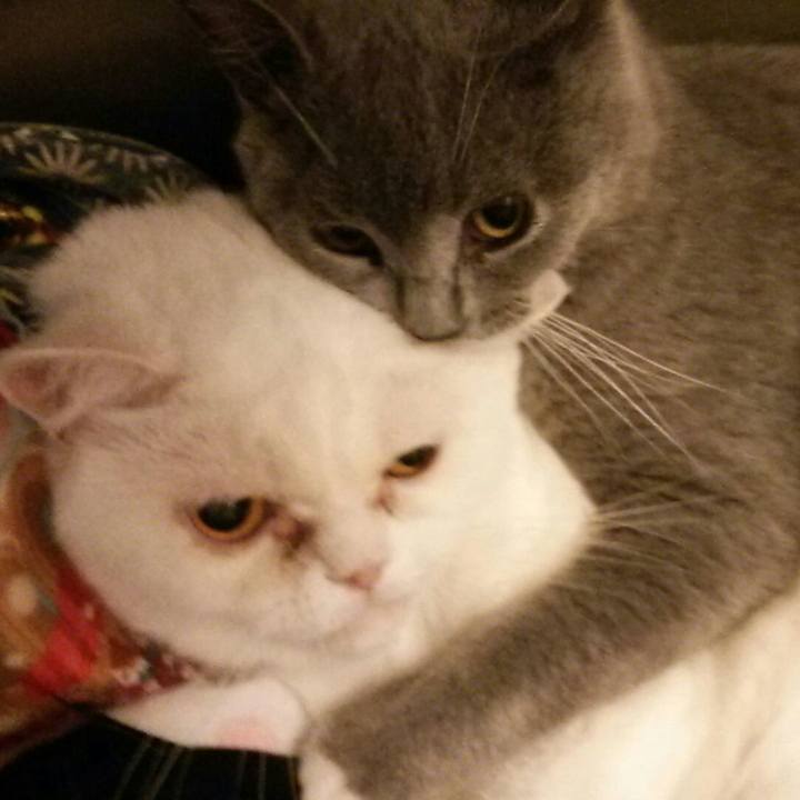 7859efb9 6555 4894 88e0 be92afca04ee 1535802386716