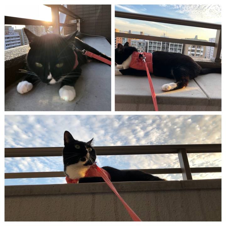 7859fbf6 78bf 4316 b875 c640139412df 1531363889163