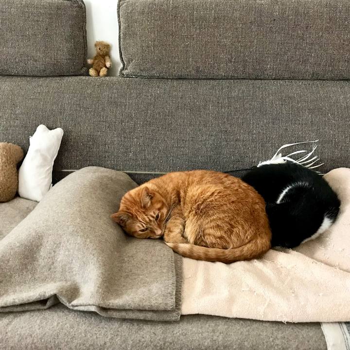 785a01e8 0ea3 48e6 97c4 c7408c5c5ac3 1514436234873