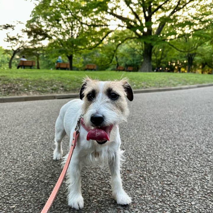 785a4e12 5296 408b be54 887085f56e54 1714745538104