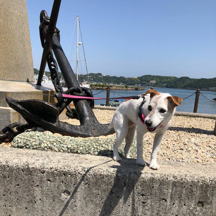 785a61f0 5d5e 4032 91ef 0f75276d98bd 1524975676722