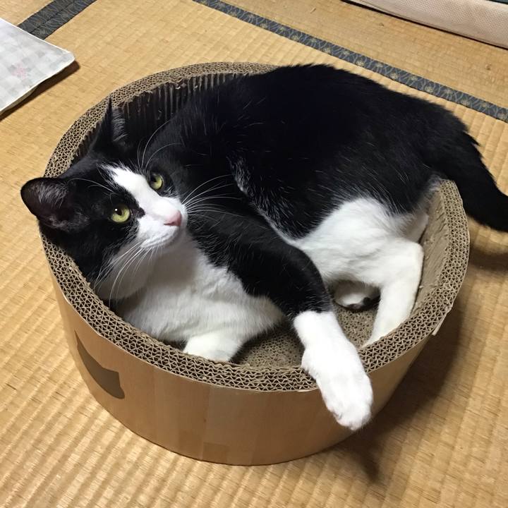 785a88a2 2340 4924 b16e f8d78fd61ee6 1723706831602