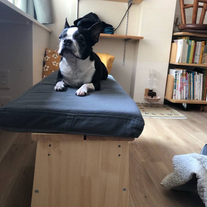 785a8adb 4f06 40d4 9c04 6b5596c1424c 1721127109863