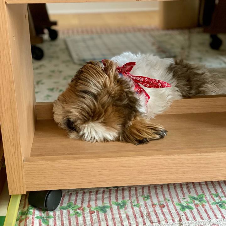 785a9d70 0392 4109 94c9 c9a022b04c92 1658288712899