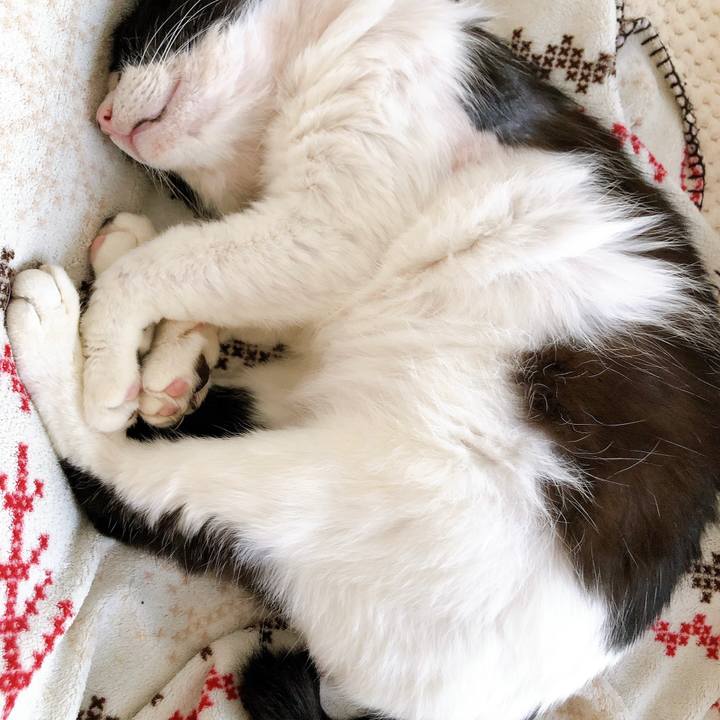 785ad17d 34e0 438d a8be 228f45477df0 1619770200637