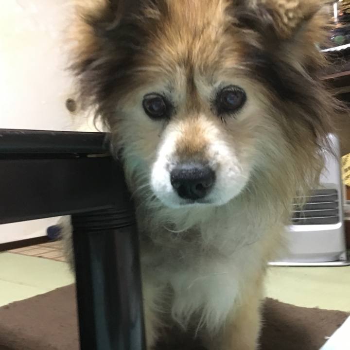 785b02bb 1007 4712 8e27 25d759152073 1547814643823