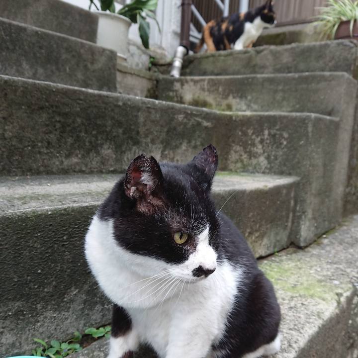 785b0a72 2212 4737 86e9 43126f74bb23 1695517160747