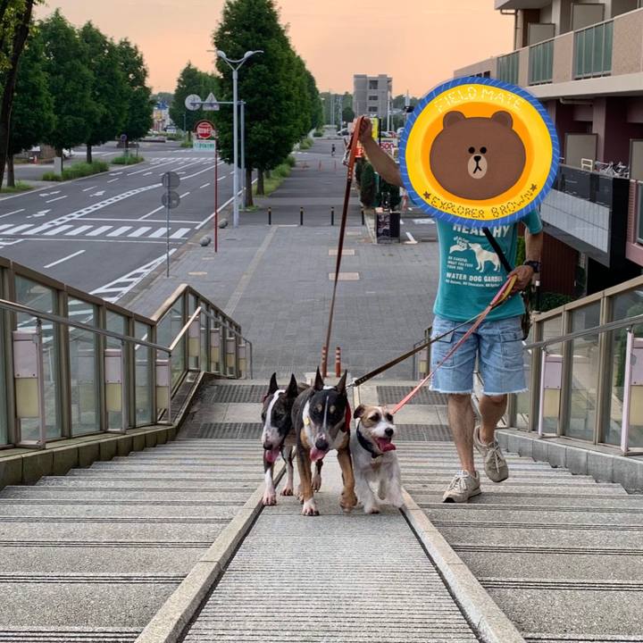 785b300c 7a7c 402c a2f3 009c84bf7b74 1596975025524