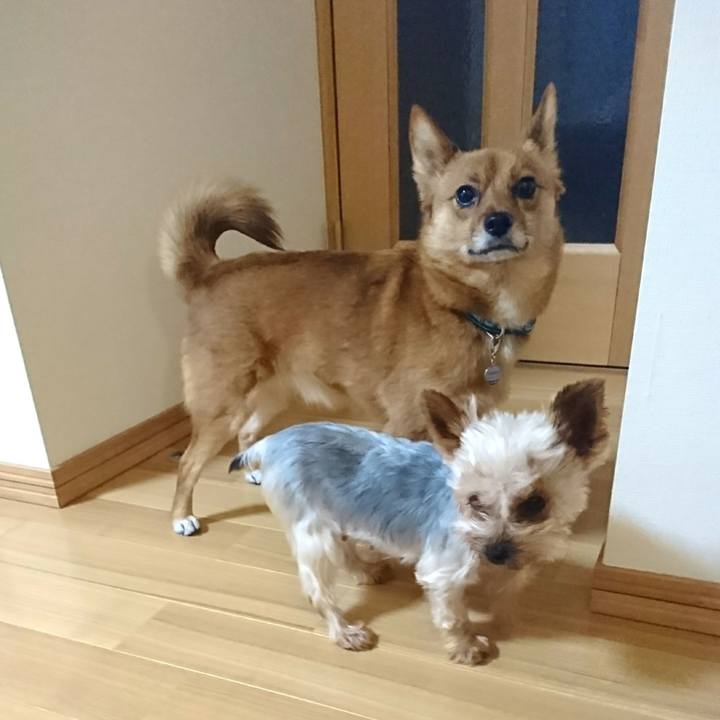 785b66f7 1834 4807 a818 b0ebf4ed1f1f 1514640361851