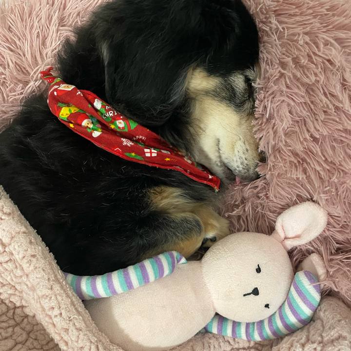 785b8a42 9289 421b b842 b2716850c0e5 1766535743431