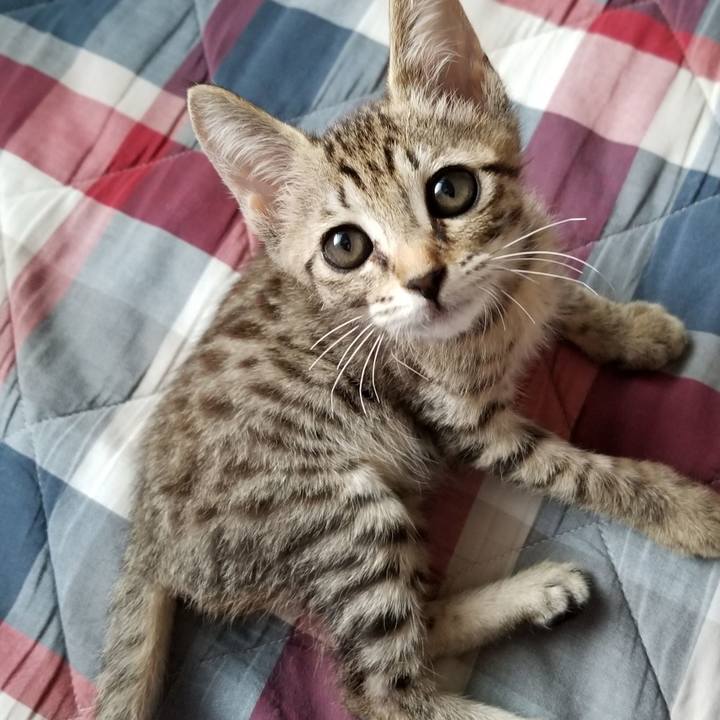 785b9023 a5bc 4742 be39 2238f272c967 1535208350382