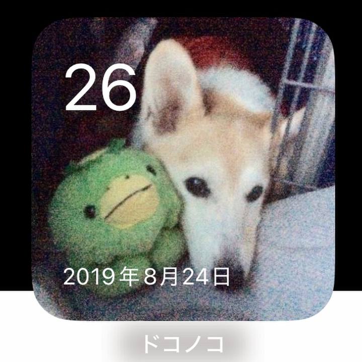 785b9293 6b51 4c0e 9ad8 3b491087a494 1756176752884