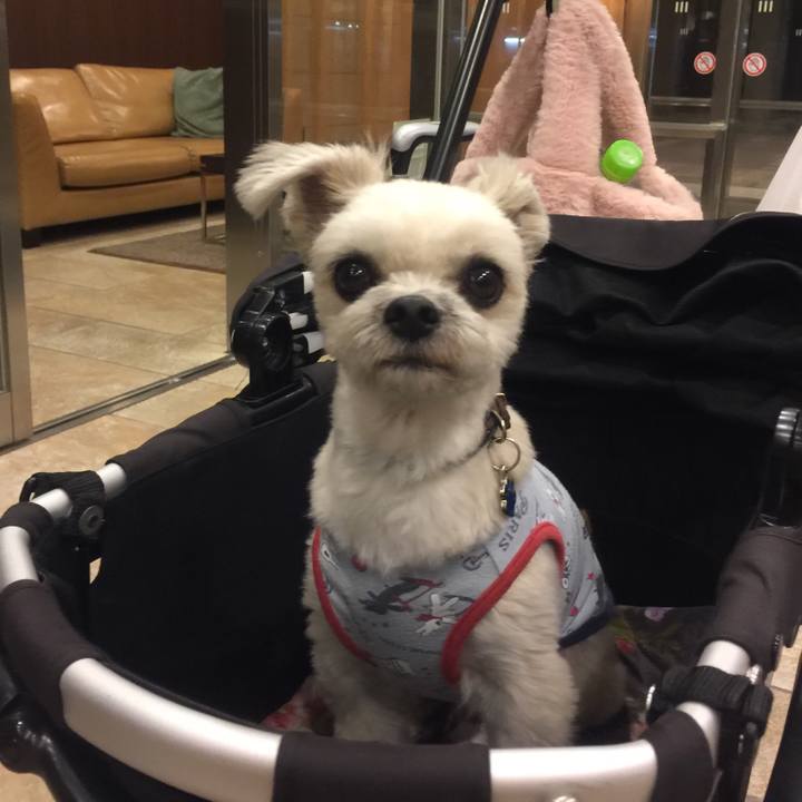 785c0453 2a4c 4694 ad98 d55d4a2f4dbe 1544110019518