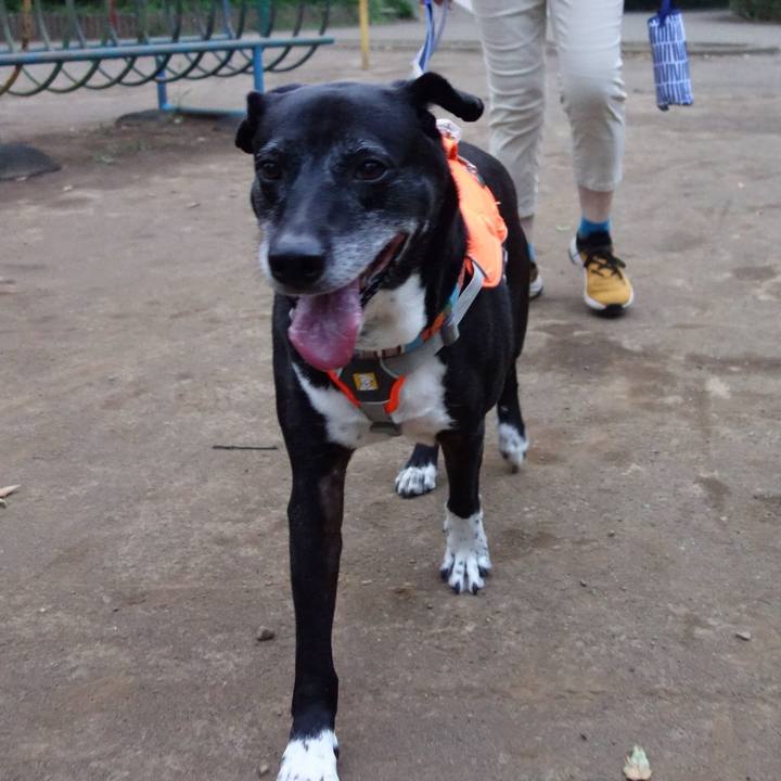 785c0b56 fa14 4b25 86f1 7182f5840438 1751884165190