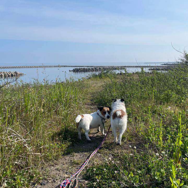 785c362e 6d74 4c8a bb00 f3fc429fd5bb 1748475657257