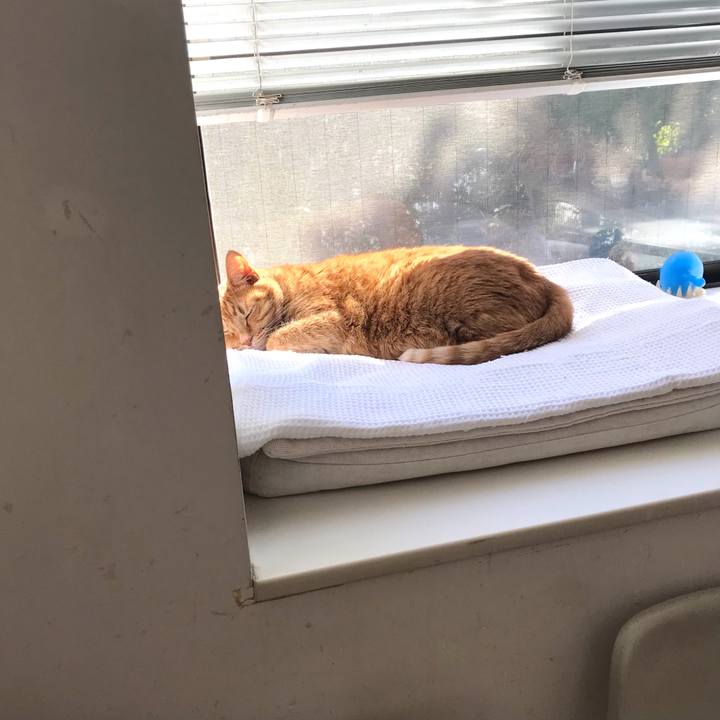 785c45bf d51f 445d 9e54 676e9e988a70 1612496123816