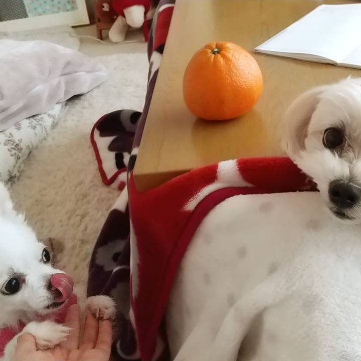 785c6507 47ed 4099 b103 3fe69ebfb2b3 1583563087935