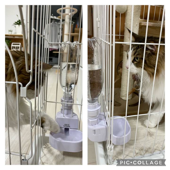 785c800b 39c5 4b06 b12c 15509318bb94 1687519986100