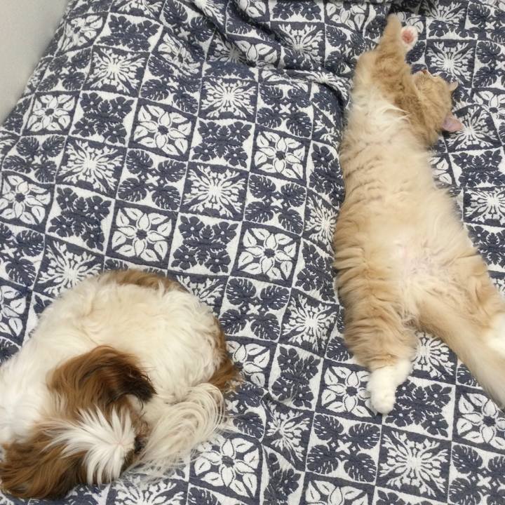 785c956c 863d 431a be7a 9b6f6448f9f3 1639370307382