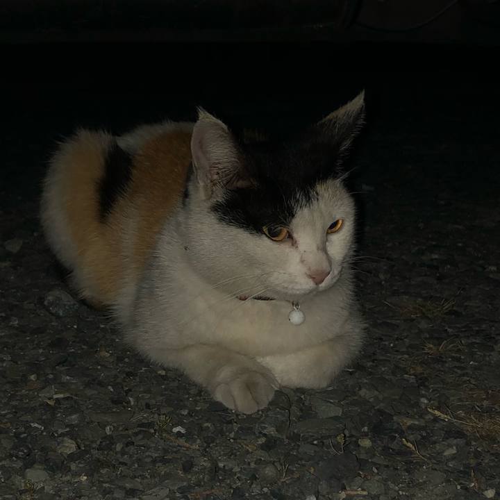 785c9ed9 b1c4 4608 9482 b99e113b410d 1622635668196