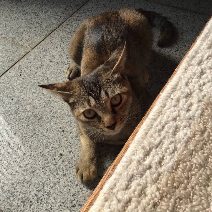 785cb1c2 c868 45c0 9363 577cca3fbd62 1573706844621