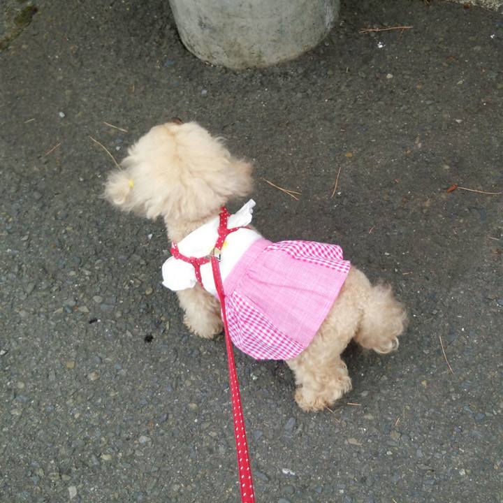 785cb4c2 3517 4831 830a 94e3cf751256 1560340158785