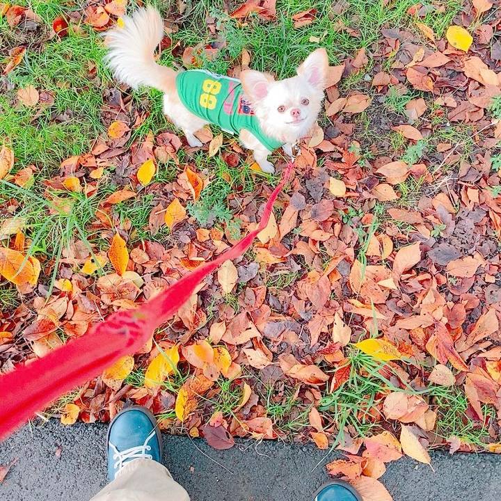 785ccebf 7e69 478a 80c3 e7e36c251bdf 1633871670890