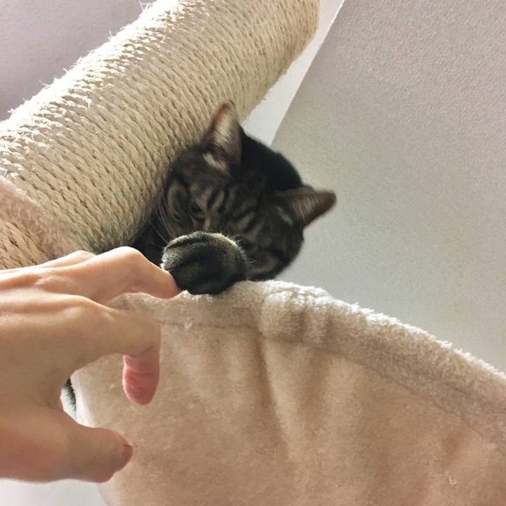 785cfe92 719e 47d9 9904 14d199ec7bf8 1523956020394