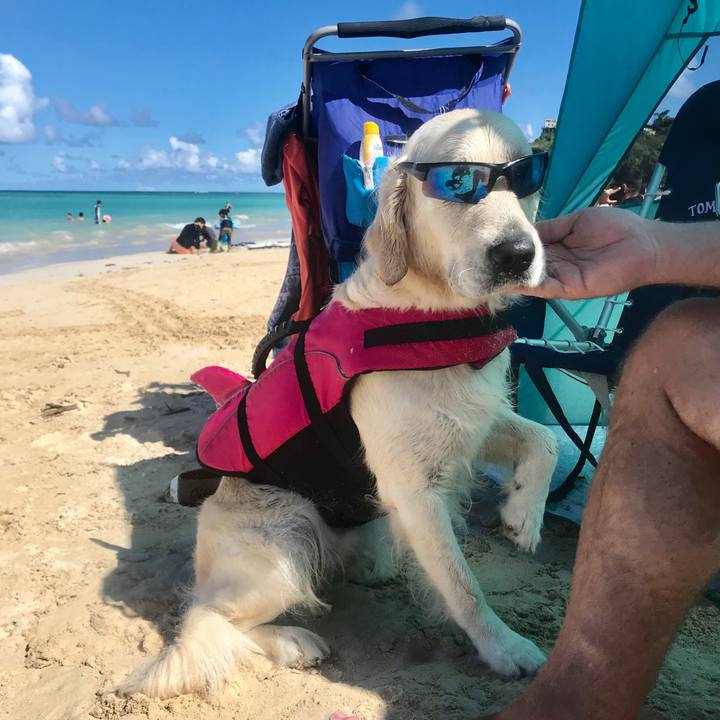 785d28c7 c319 4ea5 9dd4 f7db0a302fa3 1551058387988