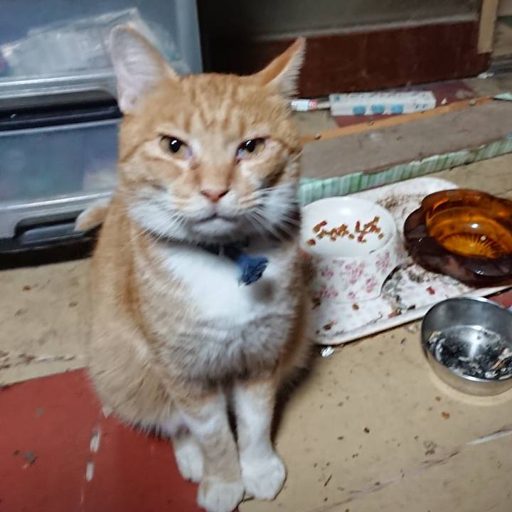 785d2a8b a111 45db ab54 baca54dc9964 1568489855612