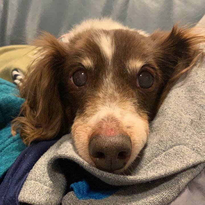 785d4bb6 9832 4c3e b55f c43d24210a1e 1551220309021