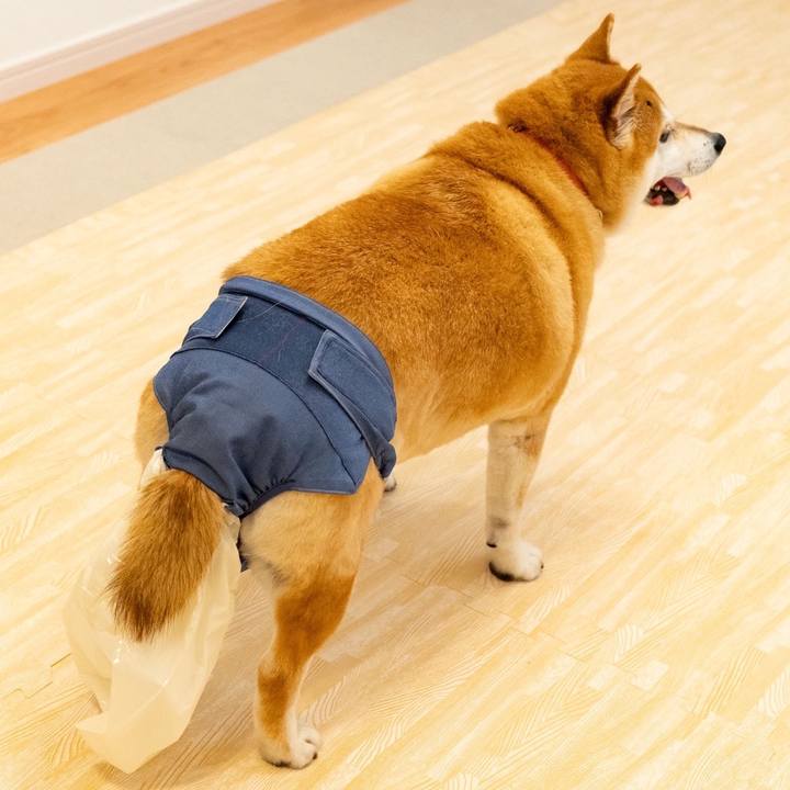 785d52ec e058 492c 8915 2592a8e08231 1702090921240