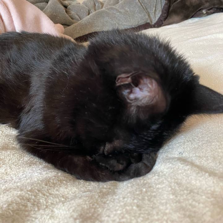 785d8810 6f7a 429c 925e 78c3561da177 1595322567329