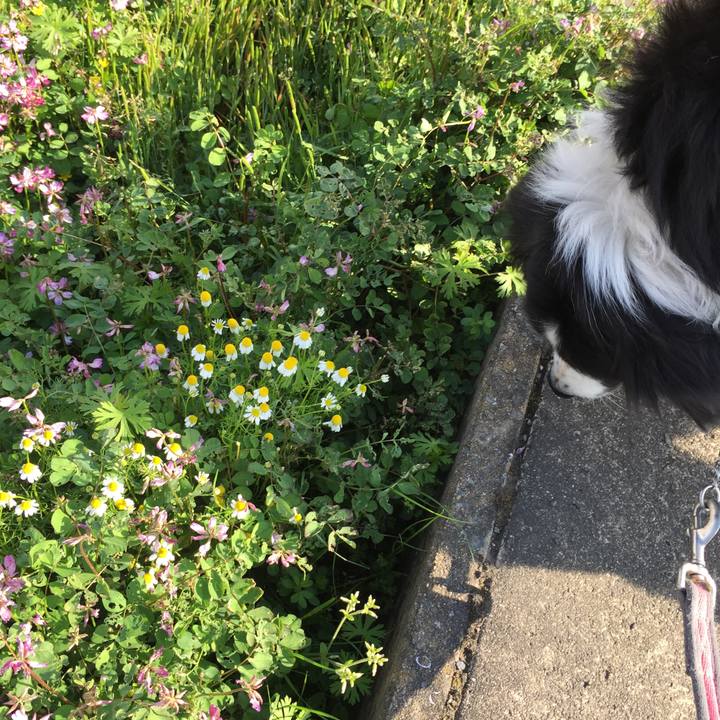 785da431 02c8 4171 9a57 60b8baec252e 1555029732943