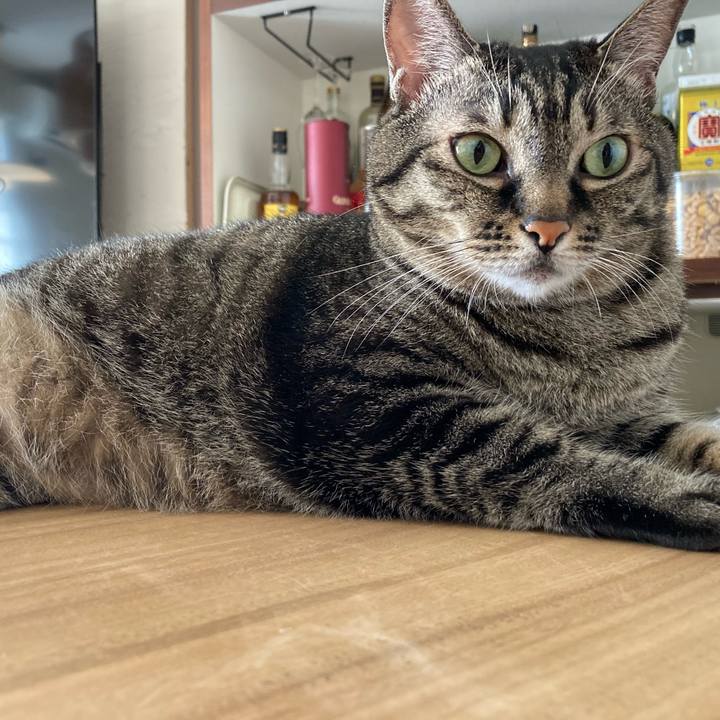 785db351 c920 49aa ab52 2d03f0f0c8e7 1689028801010