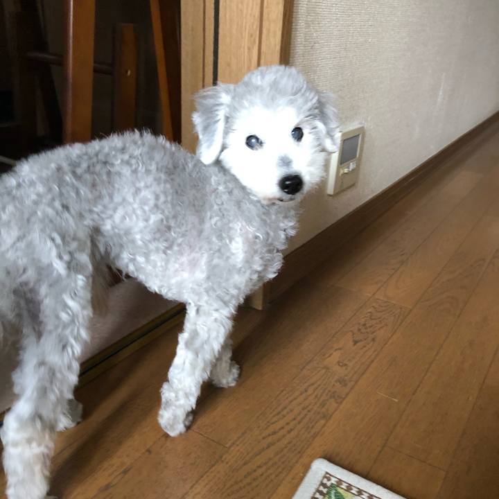 785ddfc5 78ad 4340 80bb 75119e9d97df 1653349631963