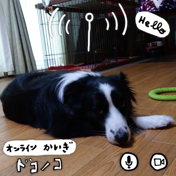 785e0405 bb05 495c b1b2 b85b9f4e3c3f 1590880496674