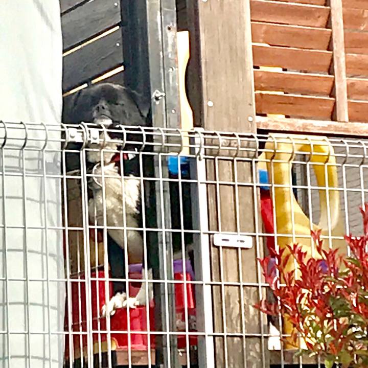 785e08f2 f933 47af b5ea 1462614d1a8b 1555545416913