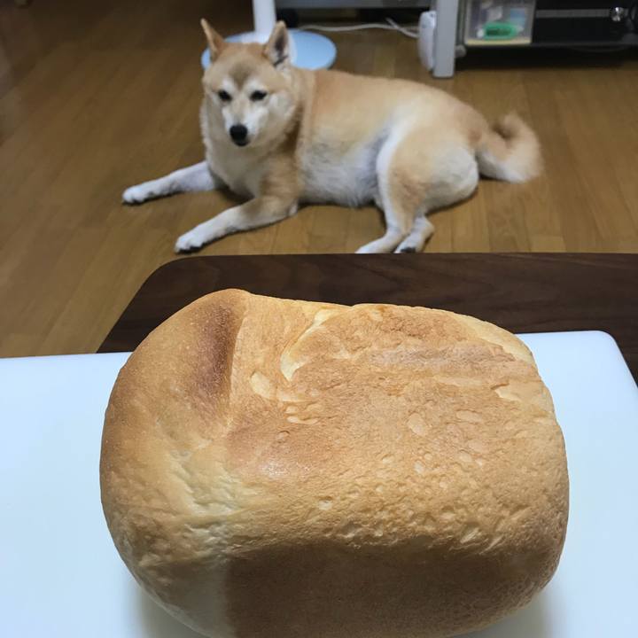 785e494e a71a 43af ba21 0916ad7d3a6e 1535461533104