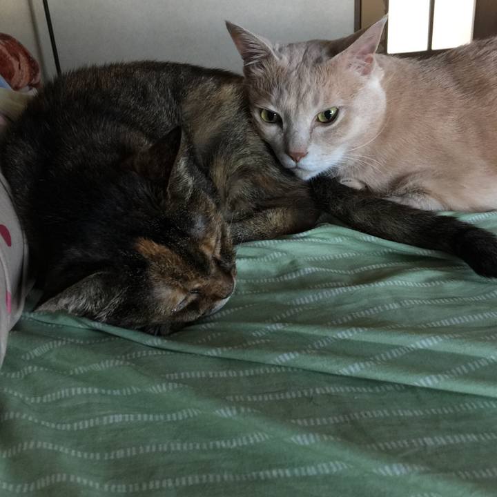 785e4a3c 224b 49aa b067 52749b900f32 1626594155922