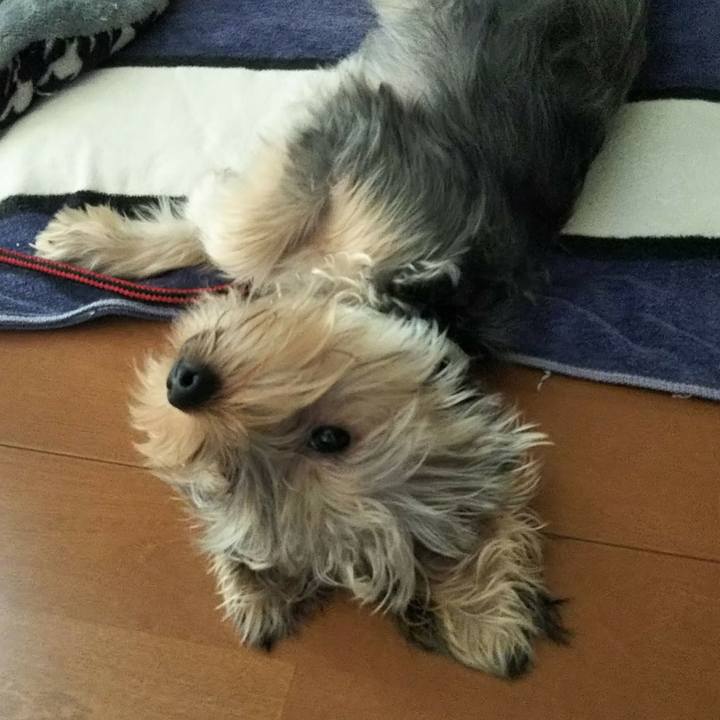 785e5ba4 48b1 481f b4d1 019cd326a42e 1537870653247