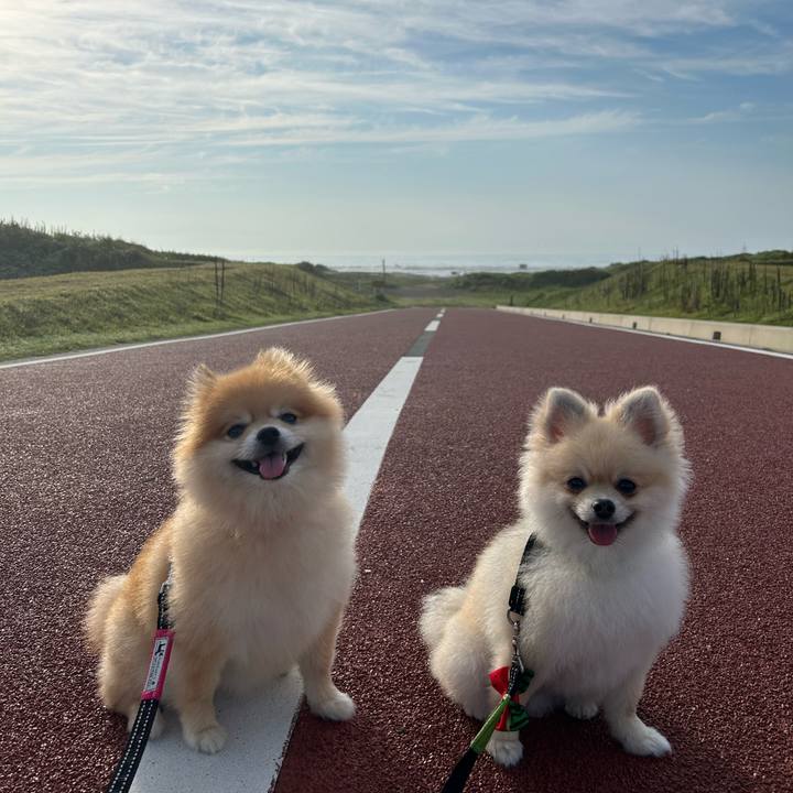 785e7945 9dd5 4354 9a2b 72a0f55be558 1729130304824